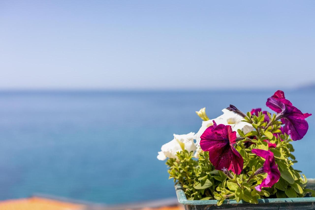 MagomadasLa Terrazza Sul Mare别墅 外观 照片